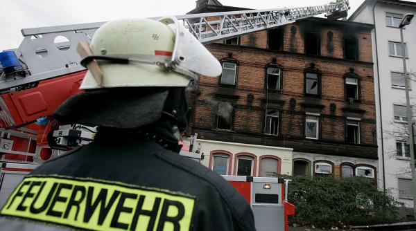 un caine a devenit erou dupa ce si a salvat proprietarul l a trezit dupa ce a izbucnit un incendiu in apartament