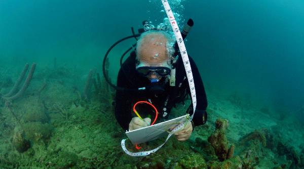 epava unei ambarcatiuni antice a fost descoperita de scafandri arheologi in golful din alexandria