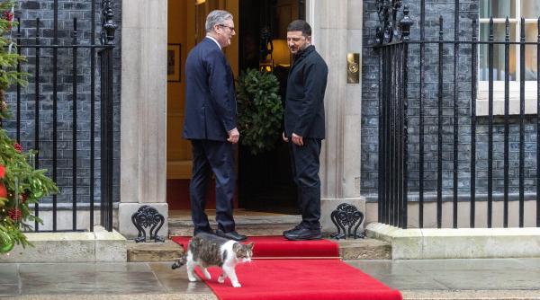 lasati l sa intre e frig motanul larry vedeta zilei la intalnirea aliatilor cu zelenski a fost mai fotografiat decat macron