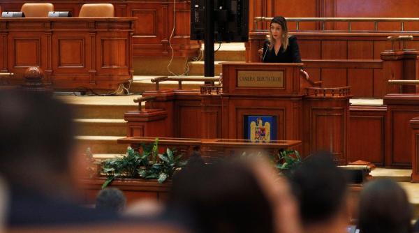 Audierea Dianei Buzoianu pe tema Paltinu, transformată în confruntare politică