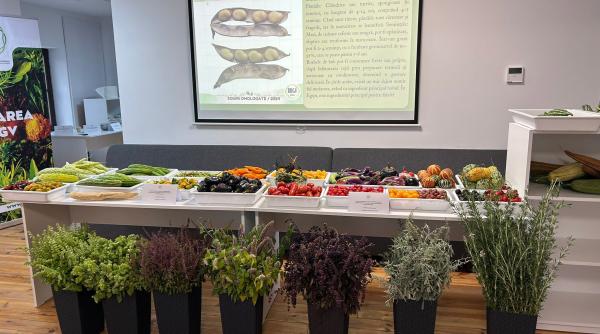 cercetatorii de la buzau au primit sase medalii de aur pentru noi soiuri de ceapa tomate si busuioc