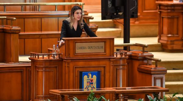 diana buzoianu acuza psd ca ii cere demisia cand trebuie negociata reforma romsilva nu voi fi santajata cu functia