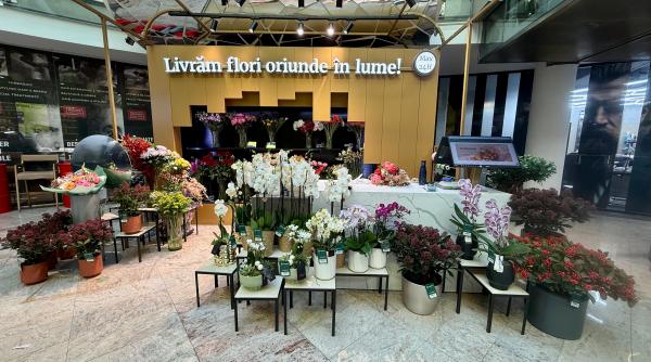 reteaua magnolia ajunge la 20 de locatii un nou boutique store in baneasa shopping city