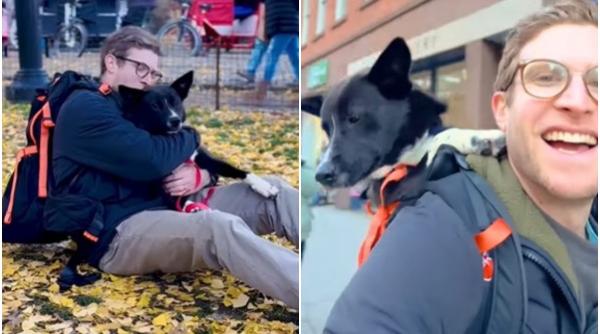 un tanar plimba caini in rucsac pentru a i ajuta sa fie adoptati imaginile au devenit virale