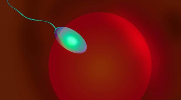 a donat sperma timp de 17 ani fara sa stie ca transmite o gena mortala aproape 200 de copii din europa au risc de cancer de 90