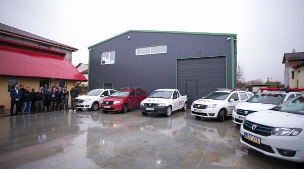 compania ddd servicii complete de deratizare si dezinsectie pentru locuinte si afaceri