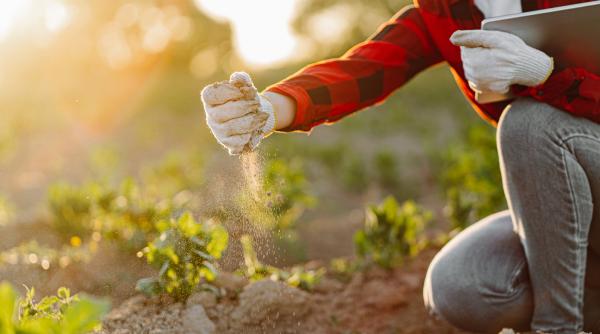 Introducerea taxei pe carbon la îngrăşăminte importate, din 1 ianuarie 2026, poate duce la scumpiri de peste 30 %, spun agricultorii