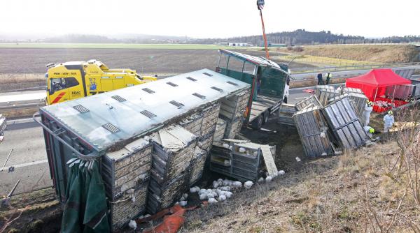 mii de gaini au scapat pe o autostrada dupa ce camionul in care se aflau s a rasturnat