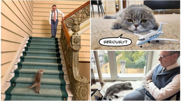 dupa larry a venit randul lui maximus si premierul belgian are un motan aproape la fel de popular ca el pe instagram