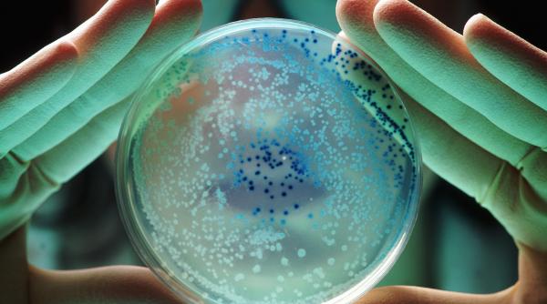 Bacteria Pseudomonas, explicată după depistarea în apa de la Spitalul de Copii Iași