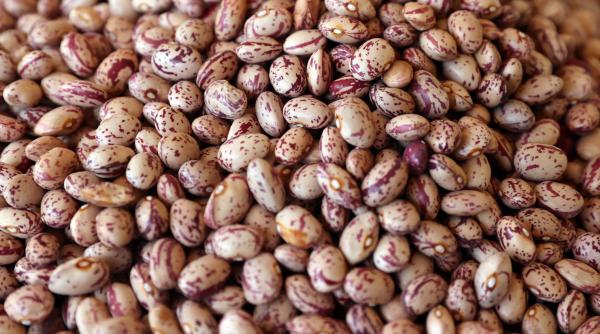 evaziune fiscala cu fasole cu un prejudiciu de aproape un milion de lei patru persoane din judetul buzau au fost retinute