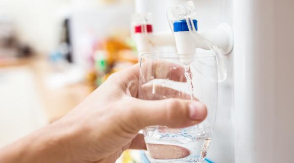 cum alegi intre dozator purificator si apa la pet pentru casa ta