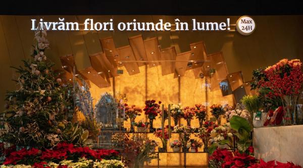 cum arata craciunul pentru cea mai mare retea de florarii din romania