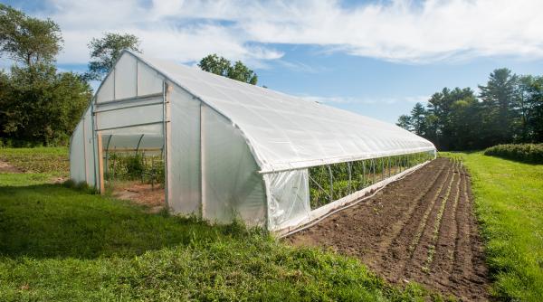 ilie bolojan clarifica taxa pe sere se aplica doar pentru serele de tip industrial solarul din gradina nu se impoziteaza