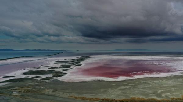 un animal misterios a fost descoperit in marele lac sarat din utah ar putea sa fie singurul de pe planeta