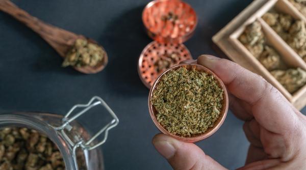 marijuana scoasa din categoria drogurilor de mare risc in sua trump oamenii m au implorat sa fac asta