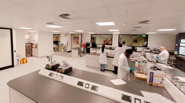 reglementarea progresiva si deciziile pe baza de stiinta ar putea scadea rata fumatului la nivel global