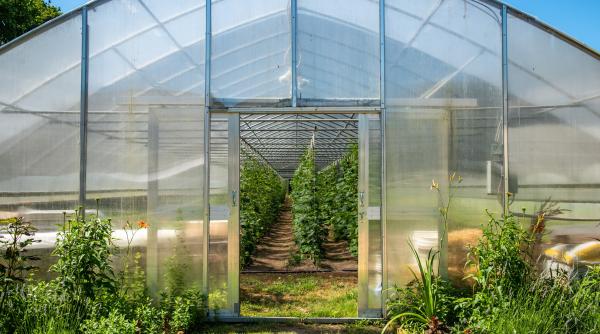 consilierul lui bolojan despre taxa pe sere e greu de aplicat probabil chiar imposibil