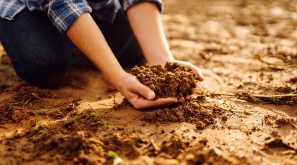 doi prieteni s au apucat sa sape in pamant si au facut o descoperire care le va schimba viata e pur si simplu noroc