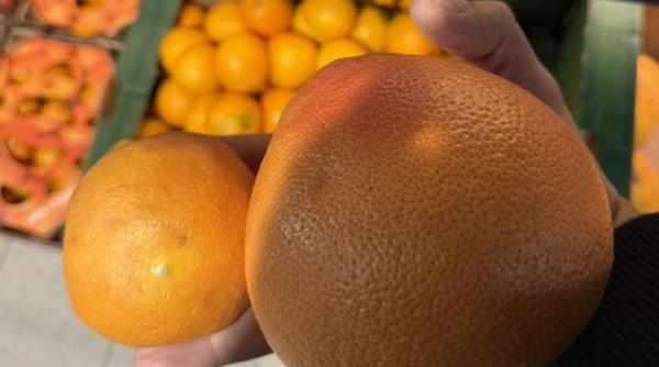 romania a ajuns bataia de joc a importatorilor de citrice director anpc portocalele sub 60 mm diametru considerate furaj animalier