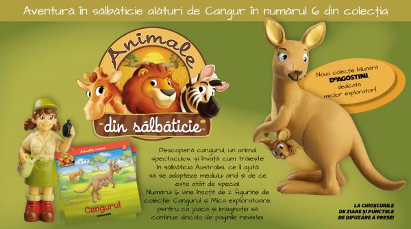 Cangurul, o nouă descoperire în colecția „Animale din sălbăticie”