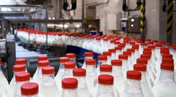 China impune taxe vamale de până la 42,7% produselor lactate din Uniunea Europeană