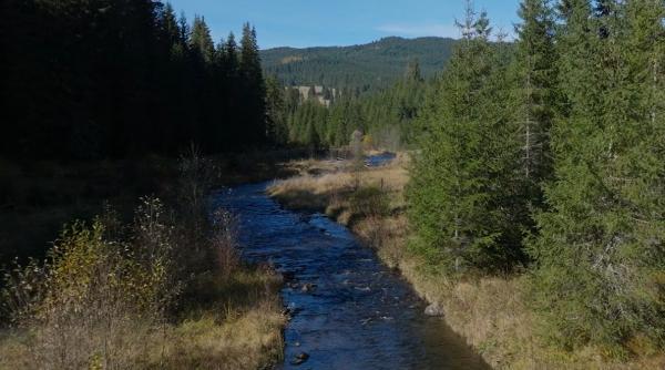 izvorul care a pus romania pe harta lumii