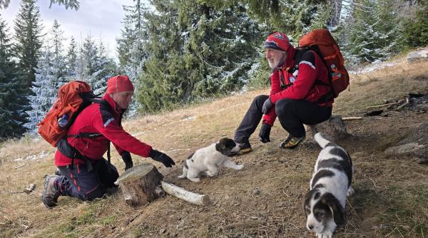 doi catei de circa o luna au fost salvati de pe munte de salvamontistii clujeni am ales acolo unde o sa fie amandoi primiti