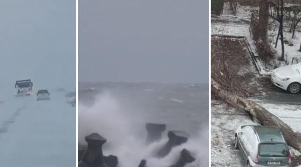 ninsorile si viscolul au pus stapanire pe romania masini blocate in nameti copaci doborati de vant si porturi inchise la marea neagra