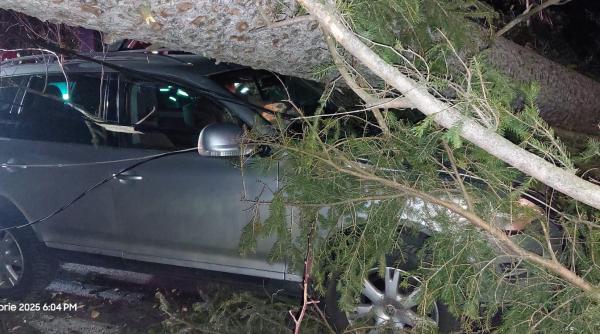 sinaia copaci cazuti peste masini si stalpi de electricitate din cauza vantului puternic