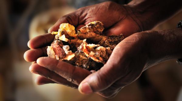 lumea ramane fara tamaie de ce se intampla asta