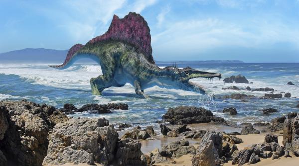 un dinozaur mai lung decat o camioneta vana pesti in raurile din thailanda acum 125 de milioane de ani