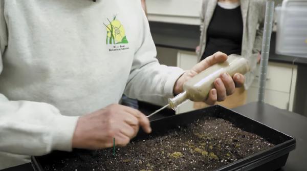 in 1879 un om de stiinta a ingropat mai mult sticle pline cu seminte la fiecare 20 de ani cate una este dezgropata si studiata