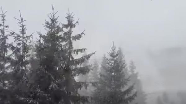 turisti blocati intr un refugiu din fagaras din cauza codului rosu salvamontistii vor putea ajunge la ei abia luni