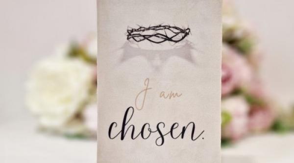 biblia pentru femei frumusete si studiu spiritual aprofundat