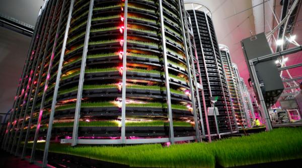 Bărbat paralizat, care poate mișca doar 2 degete, devenit antreprenor: A creat o fermă smart în China, iar startup-ul are deja profit