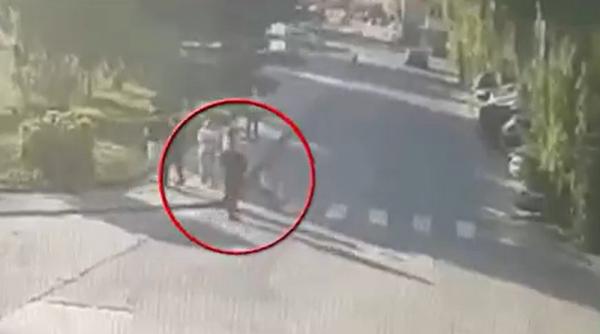 femeile care au cerut ajutor si apoi au fost ucise in romania zeci de cazuri de femicid in 2025