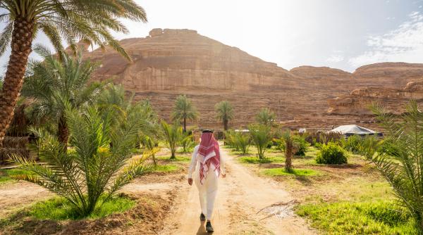 Va reuși Arabia Saudită să transforme vastul său deșert într-un teren verde, plantând 10 miliarde de copaci?