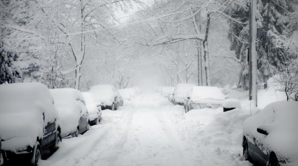 vremea extrema a doborat peste 100 de copaci in judetul hunedoara si in jur de 6 500 de gospodarii nu au curent