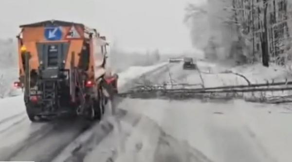 Viscolul face ravagii în România: Peste 15.000 de oameni nu au curent de mai bine de 2 zile. Anunțul lui Raed Arafat