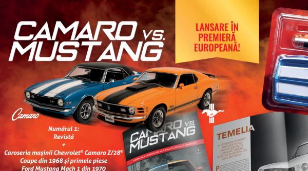 Hobby-urile care dau sens timpului liber, dincolo de rutina zilnică