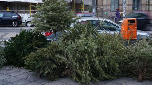 Până când se ține bradul împodobit și ce facem cu el după sărbători. Reguli de colectare gratuită în București: Cine riscă amenzi