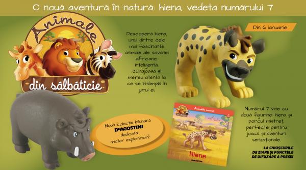Aventura în savană continuă: hiena, vedeta numărului 7 din colecția „Animale din sălbăticie”