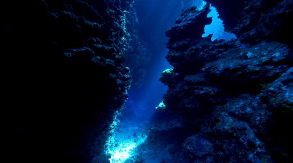Cea mai mare comoară din istoria omenirii a fost descoperită pe fundul oceanelor