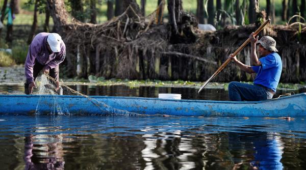 rachetele lui elon musk distrug viata pescarilor din mexic nu avem nicio speranta nu mai e suficient peste
