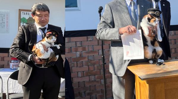 Japonia are un nou șef de gară felin: Yontama va „conduce” linia ferată unde pisicile au făcut istorie, salvând-o de la faliment