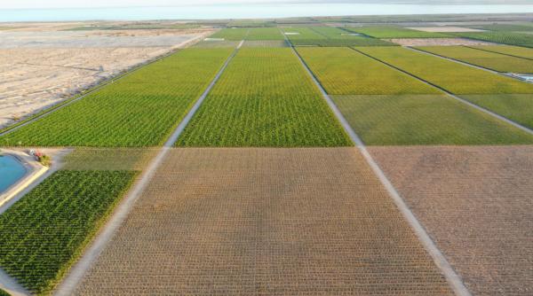 cat costa terenurile agricole din romania harta preturilor pe regiuni