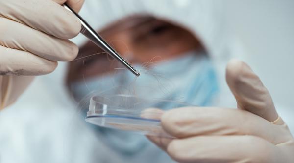 o crima care a avut loc in tulcea in 1999 a fost rezolvata dupa 26 de ani dupa analiza unei probe adn