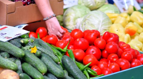 Producător de roșii, despre Mercosur: La orice legumă prețul lor e la jumătate. O să ducem copiii ca la muzeu în fermele româneşti
