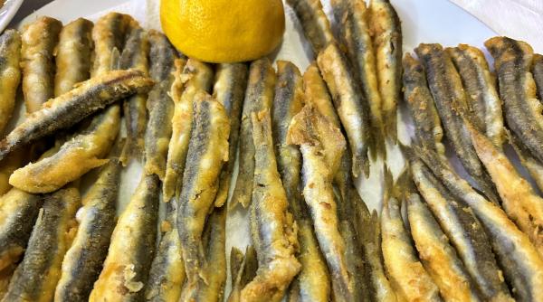 pestele si fructele de mare romanesti sunt poluate cu plastic arata analizele tratat termic poate deveni toxic chiar cancerigen